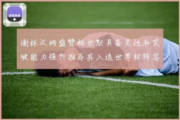 谢林汉姆盛赞帕尔默具备灵性和突破能力强烈推荐其入选世界杯阵容