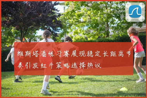 维斯塔潘练习赛展现稳定长距离节奏引发红牛策略选择热议