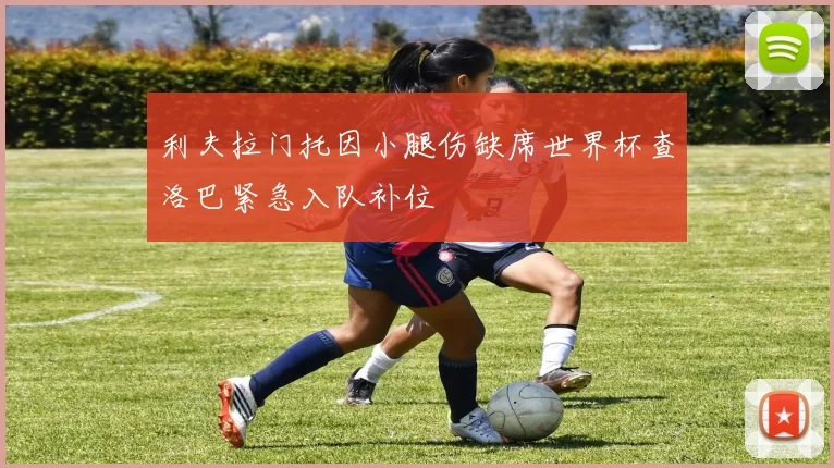 利夫拉门托因小腿伤缺席世界杯查洛巴紧急入队补位