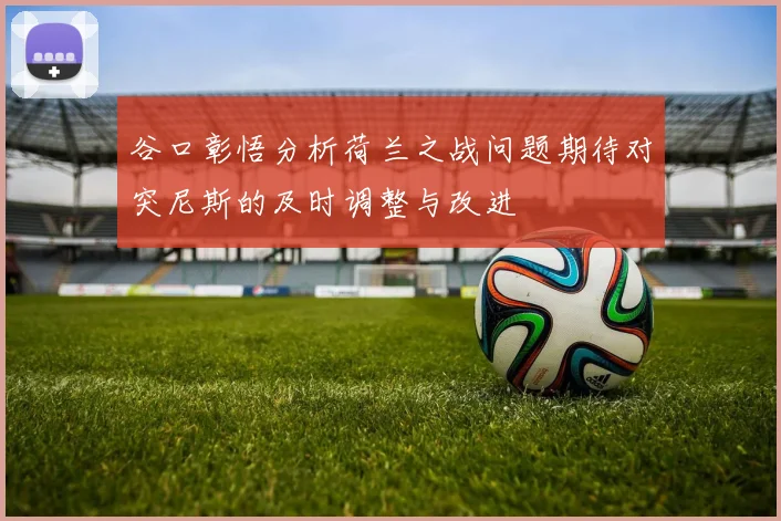 谷口彰悟分析荷兰之战问题期待对突尼斯的及时调整与改进